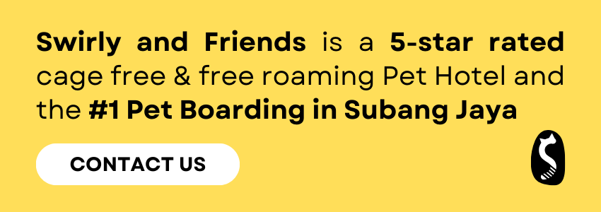 What Is Pet Boarding what-is-pet-boarding
